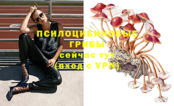 бошки Белоозёрский