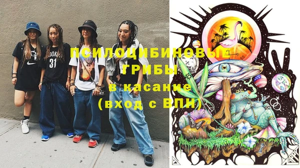 мдпв Белокуриха