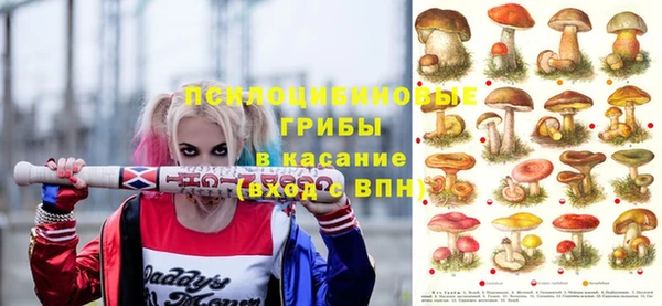 мдпв Белокуриха