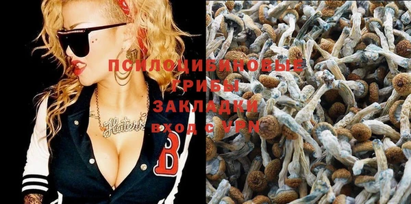бошки Белоозёрский
