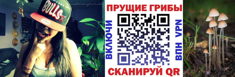 Галлюциногенные грибы Magic Shrooms  Лабинск 